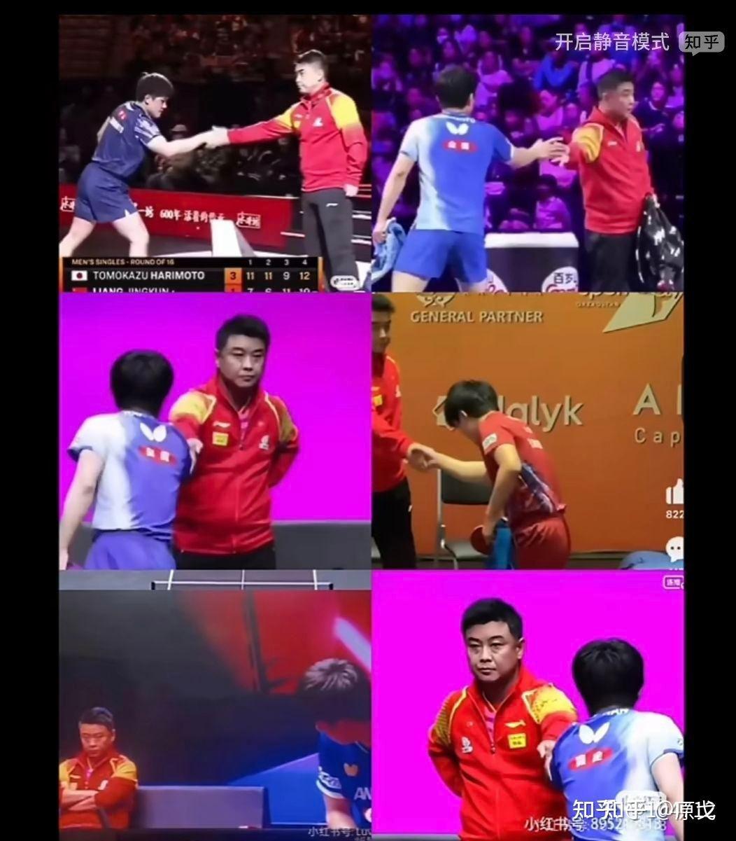 比利时乒乓球队翻盘英国乒乓球队,王皓统治全场的简单介绍 比利时乒乓球队翻盘英国乒乓球队,王皓统治全场的简单介绍