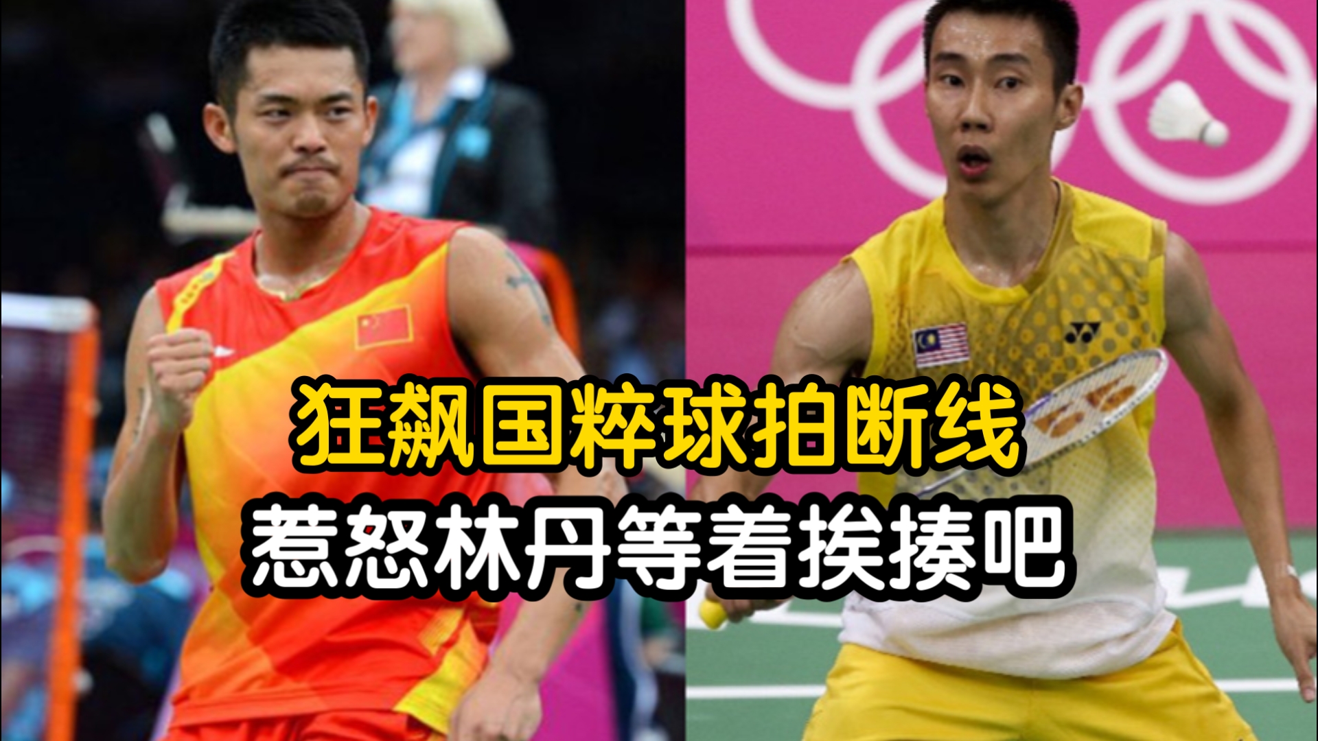 日本羽毛球队绝杀丹麦羽毛球队，林丹制霸全场