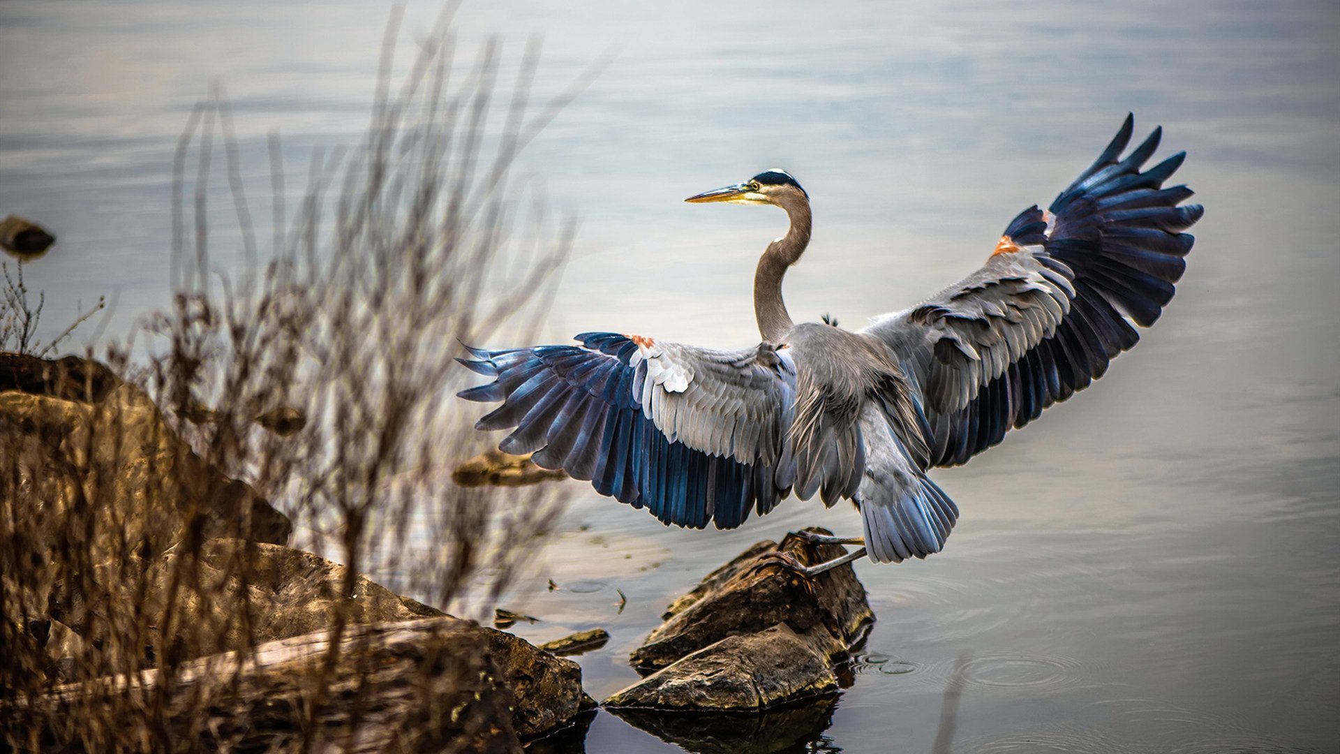 开云体育app-精密机器与不灭火焰，印尼队的碾压之道与郑思维的灵魂点燃