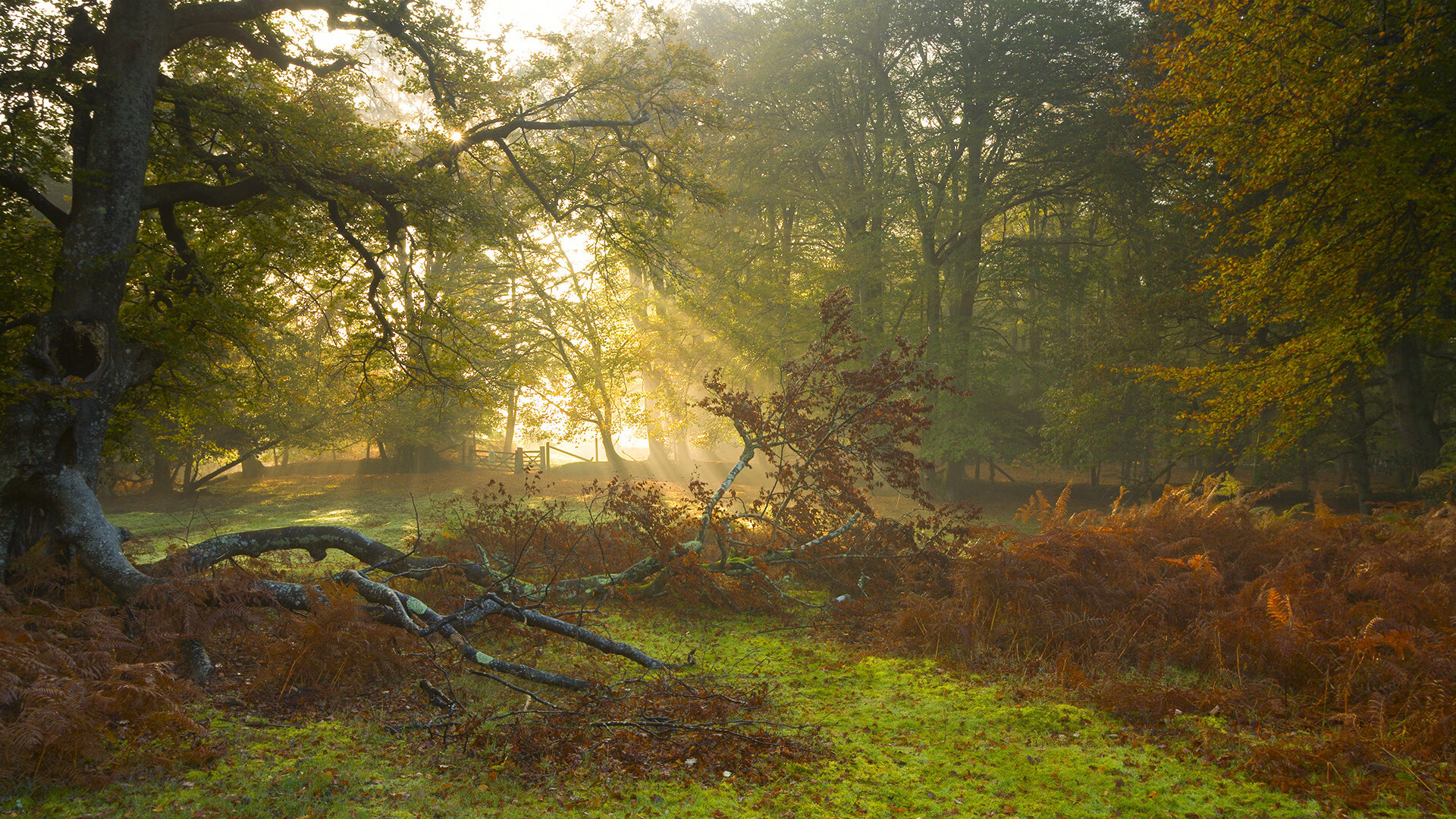 开云体育平台APP-看到你的关键词，一个极具戏剧张力与对比感的故事画面立刻浮现出来。以下是为你构思的文章框架与内容