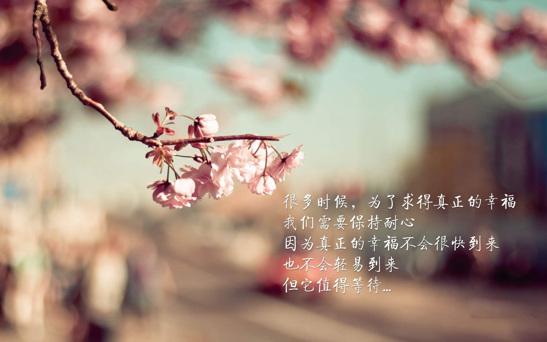 吉林复仇者联盟诞生记,当全队化身东契奇