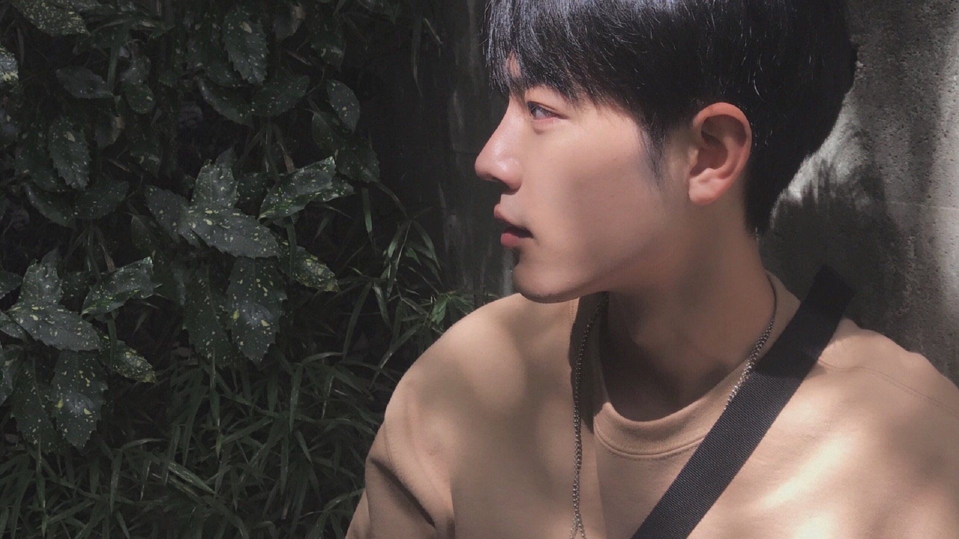 老将操弦，新刀出鞘，当莫德里奇的艺术照亮加拿大冲锋的寒光