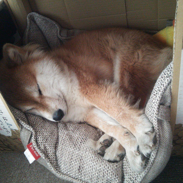 开云体育app-绝境重生！中国男篮压哨险胜安哥拉，加维化身铁闸锁死对手核心