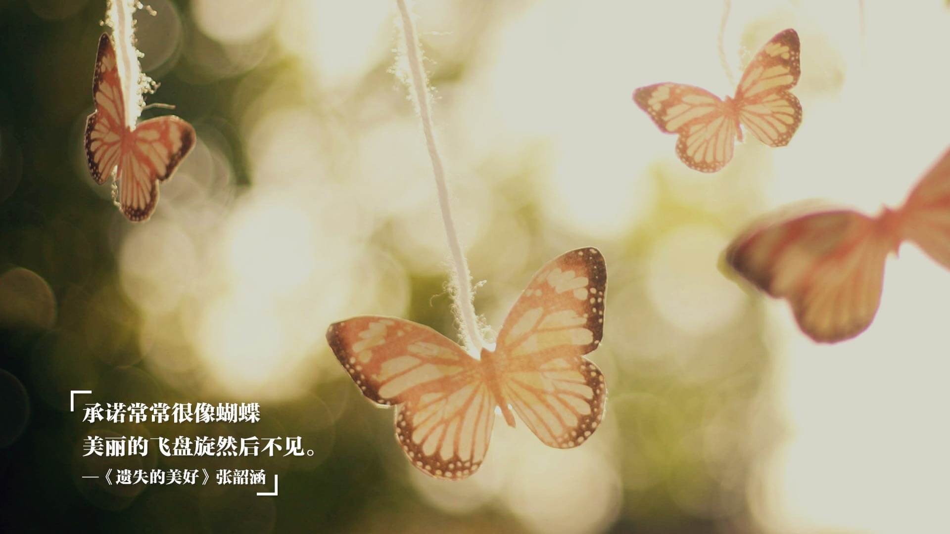 冰火交加，策略致胜—卡瓦哈尔雨夜加冕，F1年度冠军悬念终结