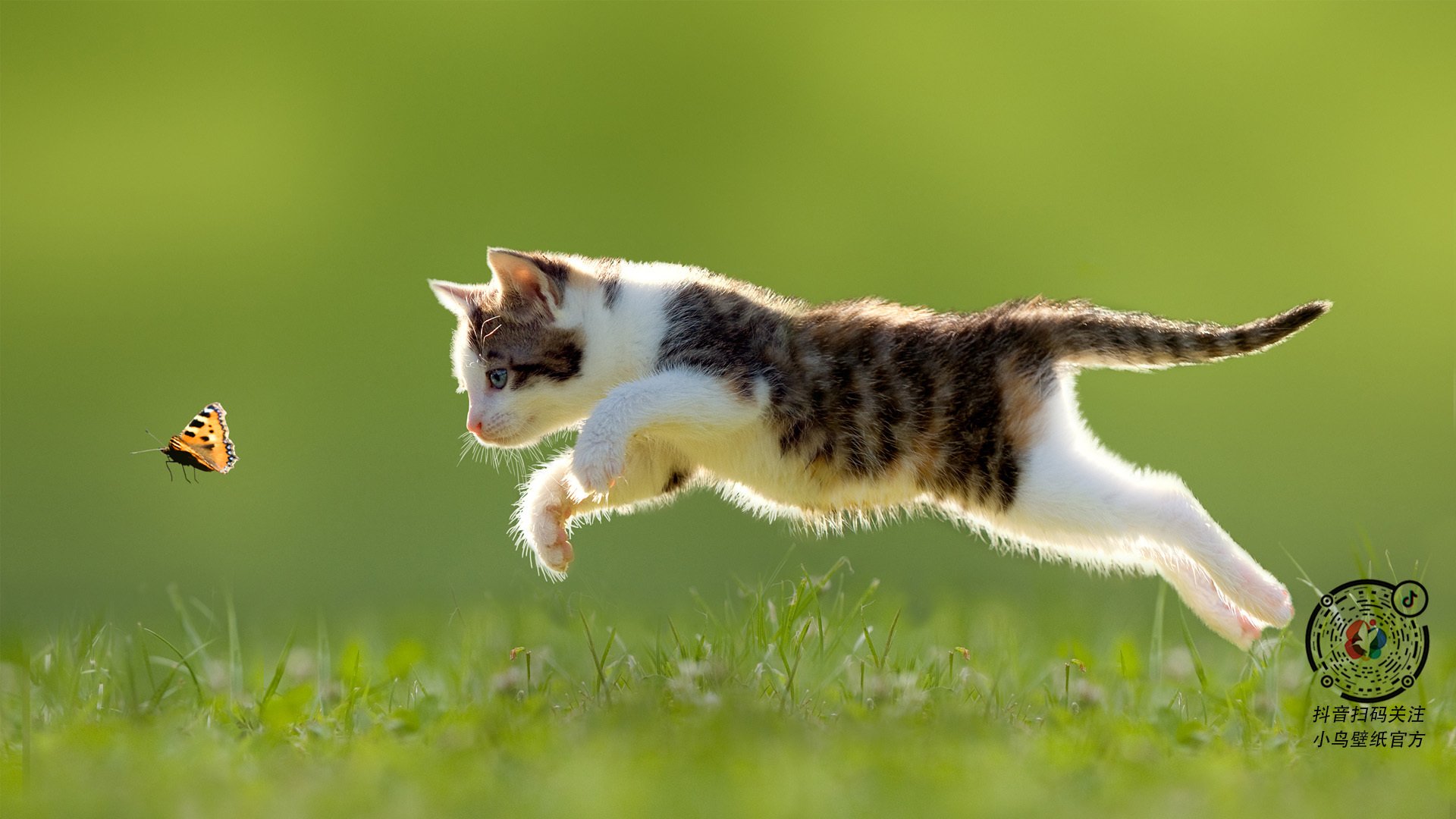 当数据幽灵叩响空想之门，一场未曾发生的篮网vs独行侠，与切特·霍姆格伦的统治级投影