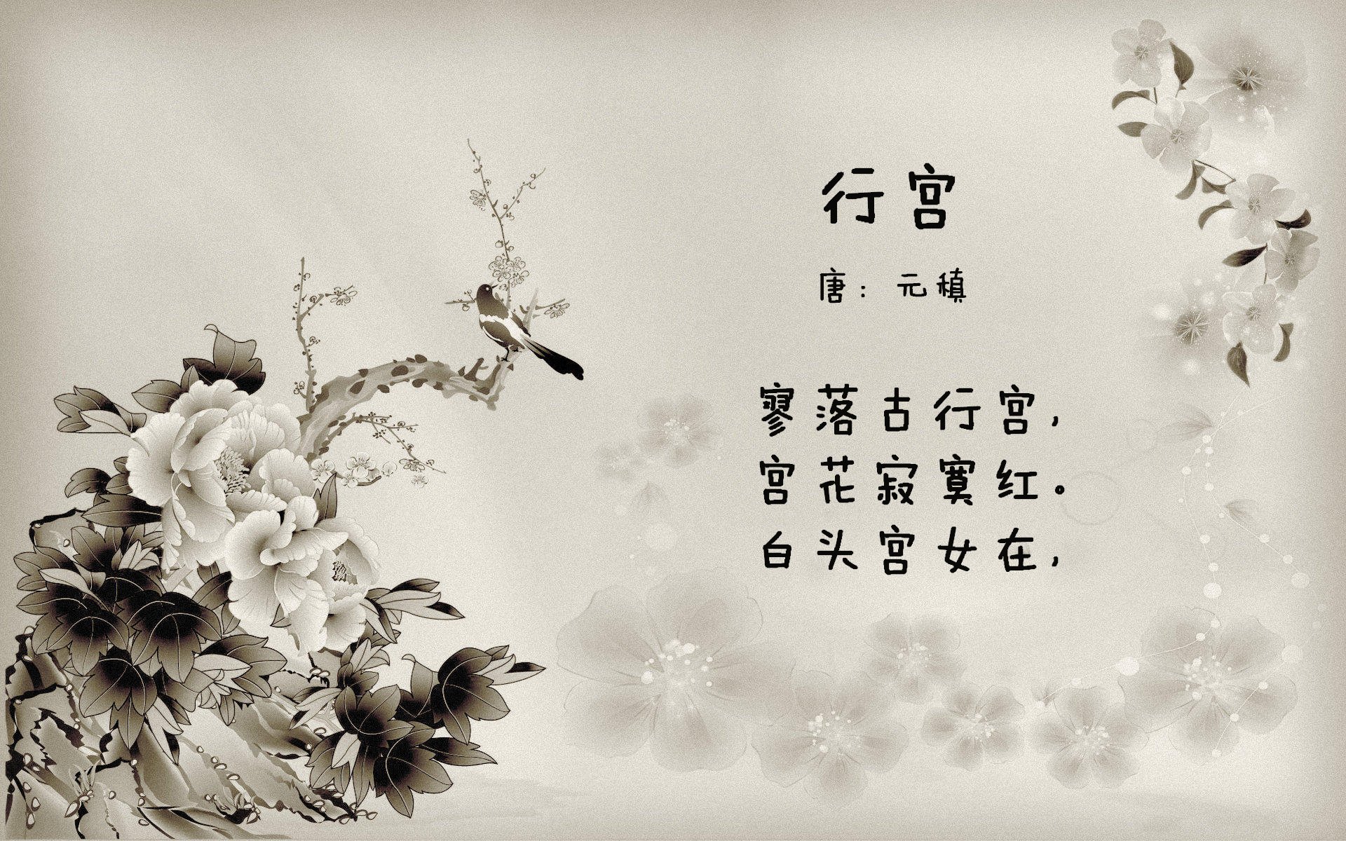 技术进化论，恩比德隔空击溃浙江，奇才式篮球的启示