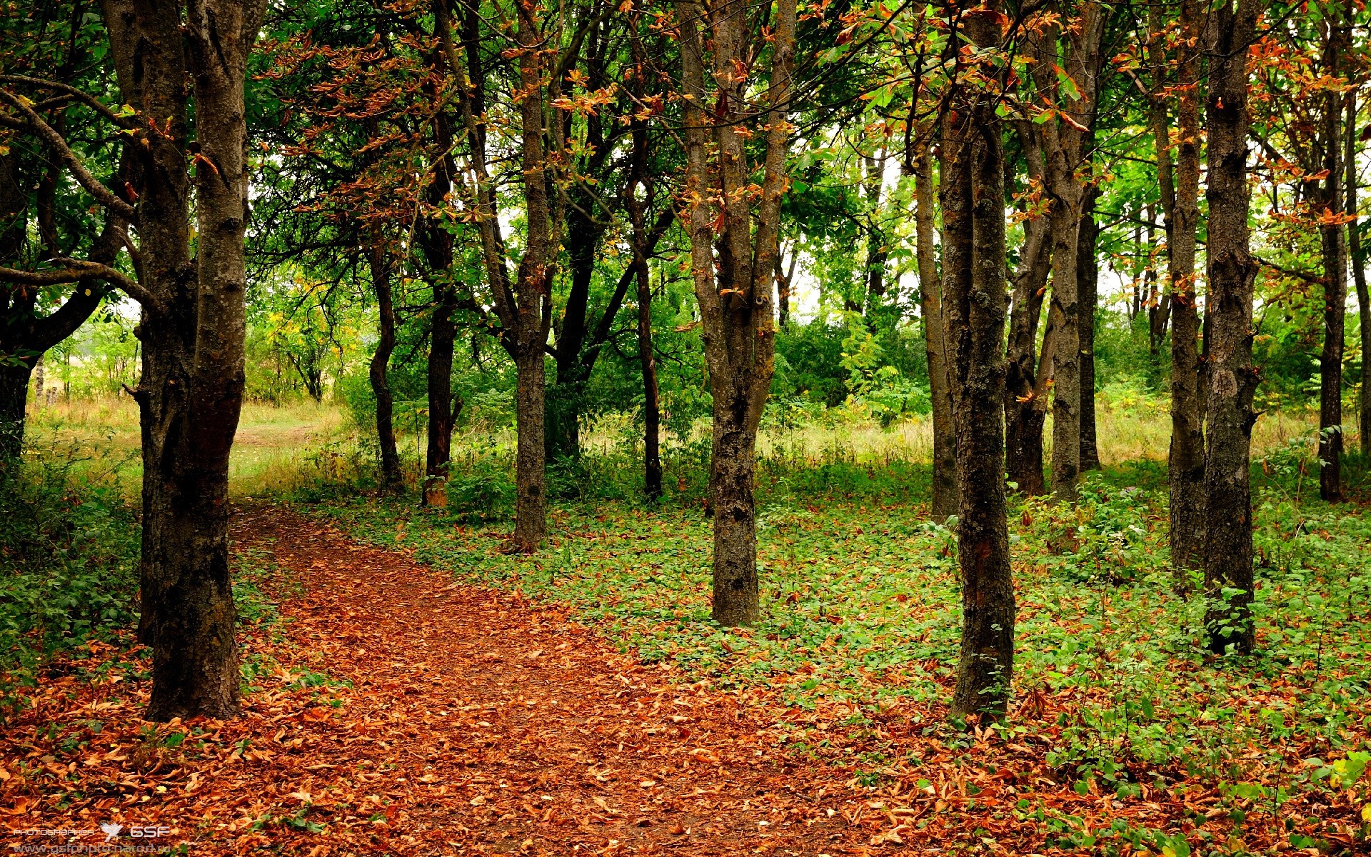开云体育中国-从1-2到双星闪耀，掘金掀翻魔术之夜，锡安展现巨星价值