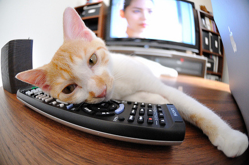 开云体育app-绿茵神盾的降维打击，金玟哉单点爆破防线，演绎现代中卫教科书