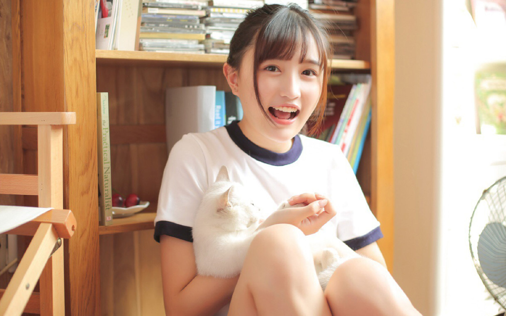 独门密码,范弗利特节奏完全掌控,骑士用窒息公式掀翻浙江