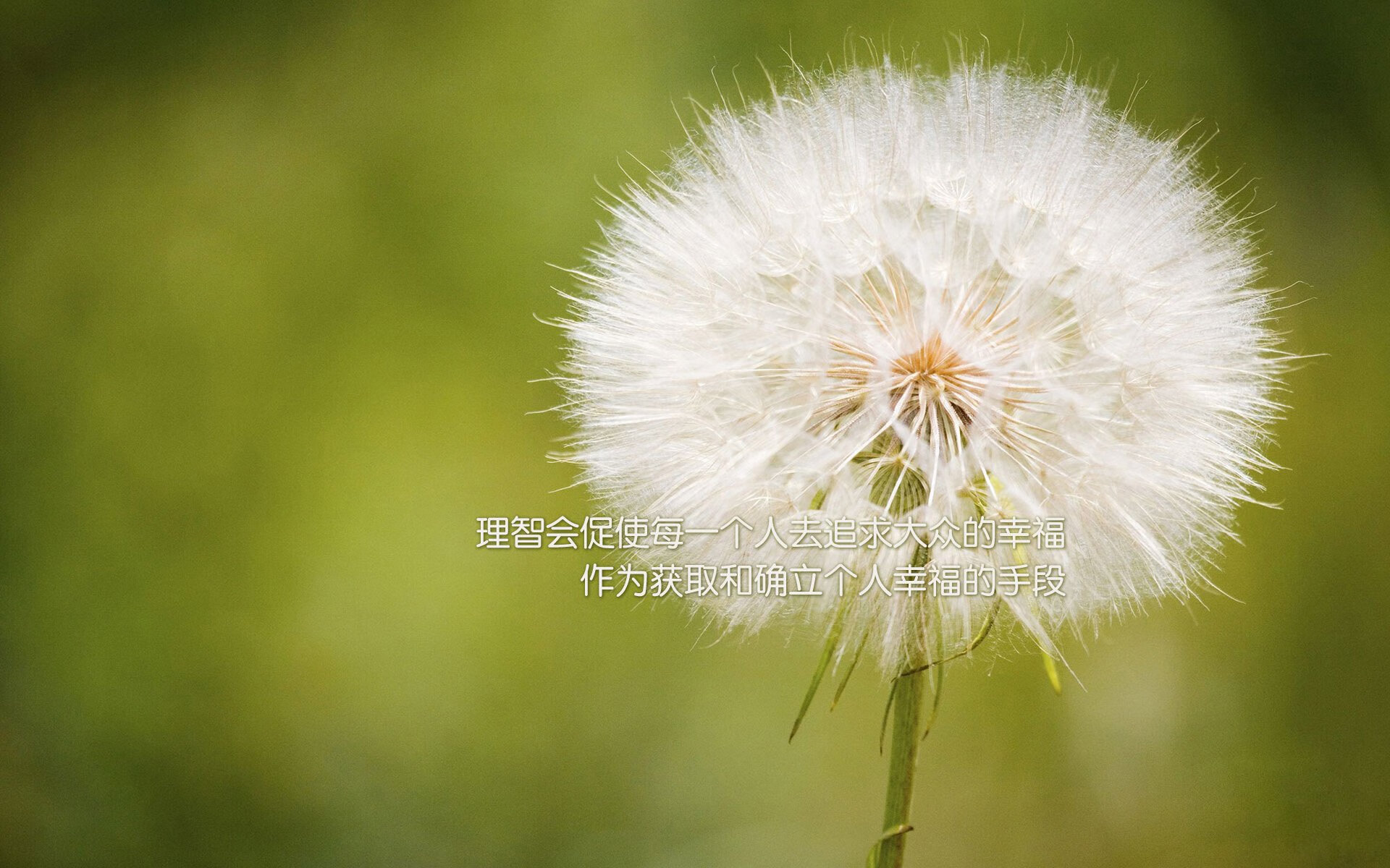 跨界绞杀，2026世界杯，北京工体的篮球密码锁死足球豪门