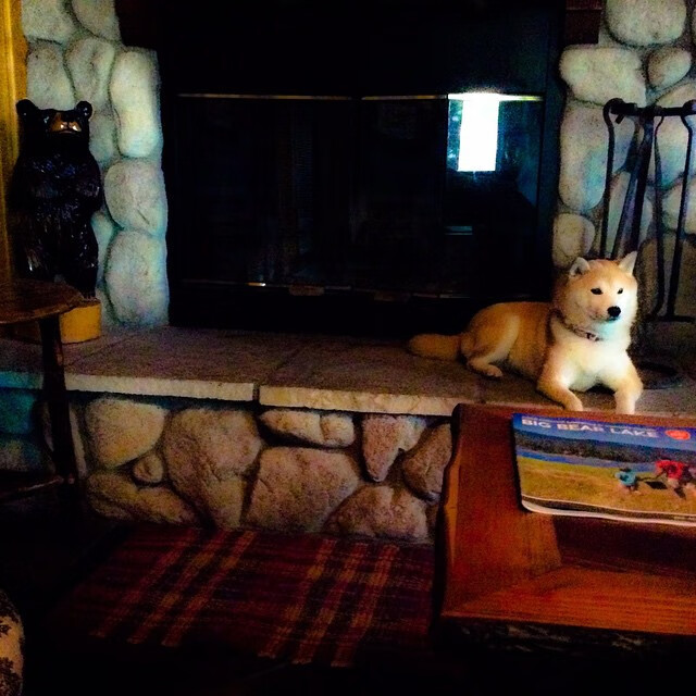 基因伊布爆发!比利亚雷亚尔黄色舰队巅峰对决胜出南非世界杯决赛