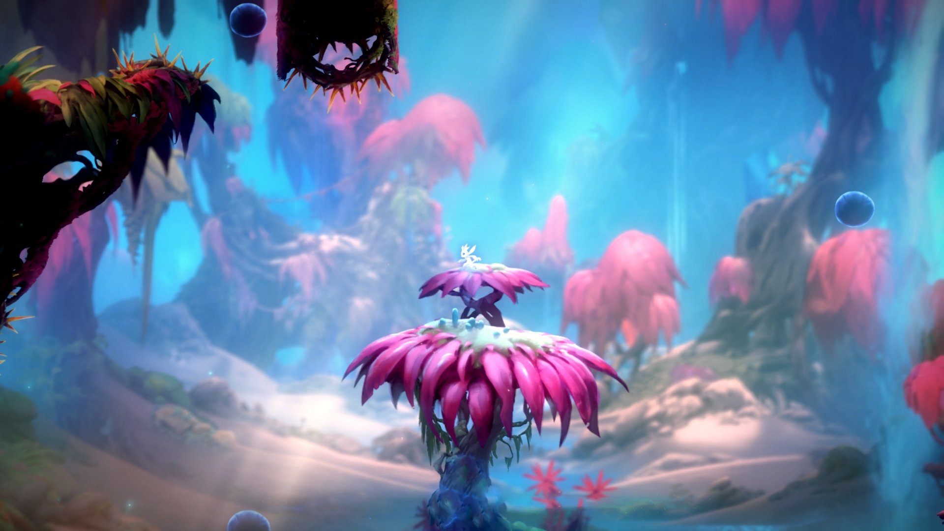 开云体育平台APP-奇才轻取湖人，杰伦·格林的风暴席卷斯台普斯