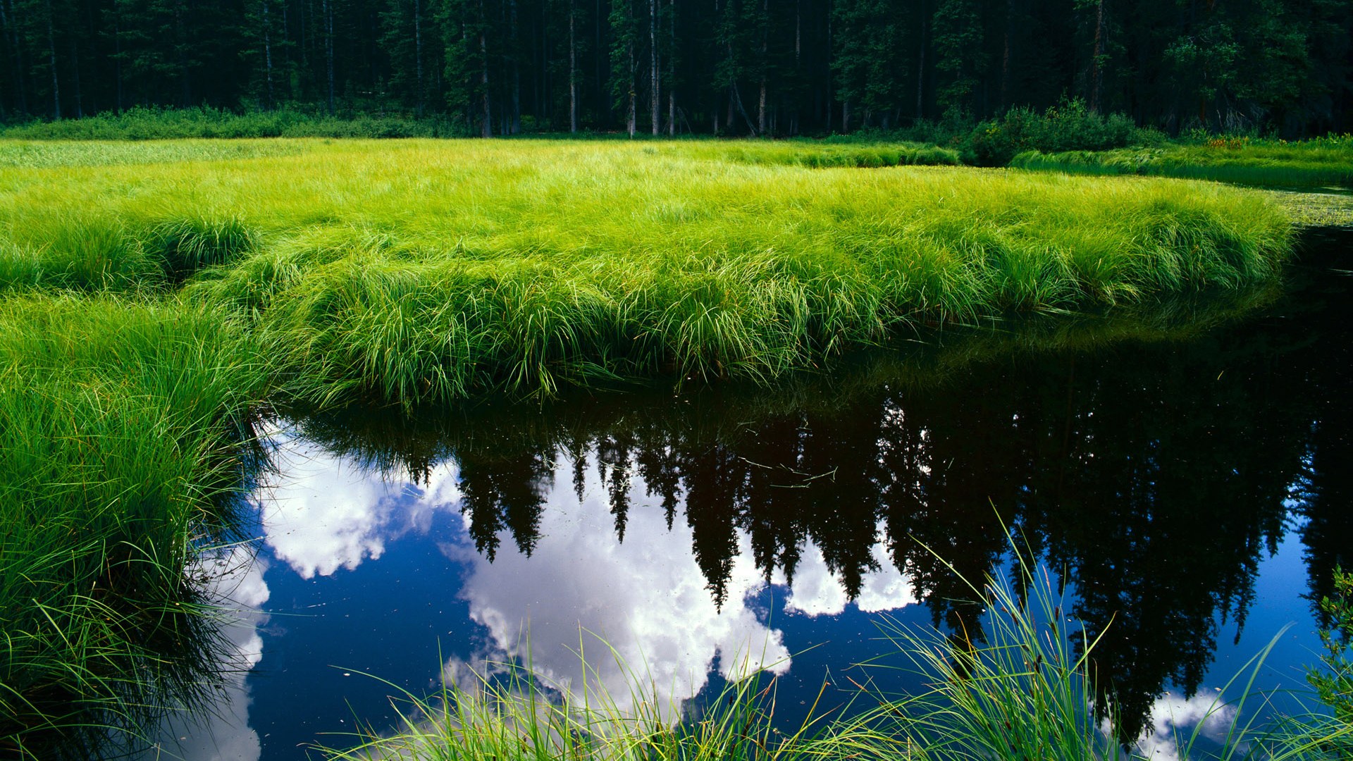 开云体育app-唯一性的魔咒与救赎，阿劳霍那脚让整个爱尔兰屏息的点球