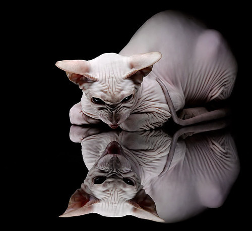 铁闸惊世，斜刺里杀出的寒光，当个人英雄主义遭遇最残忍的足球美学