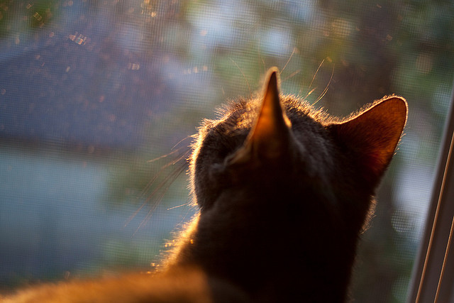 末节封王！爱德华兹独砍38分率勇士正面击溃北京队，逆境重生诠释关键先生真义