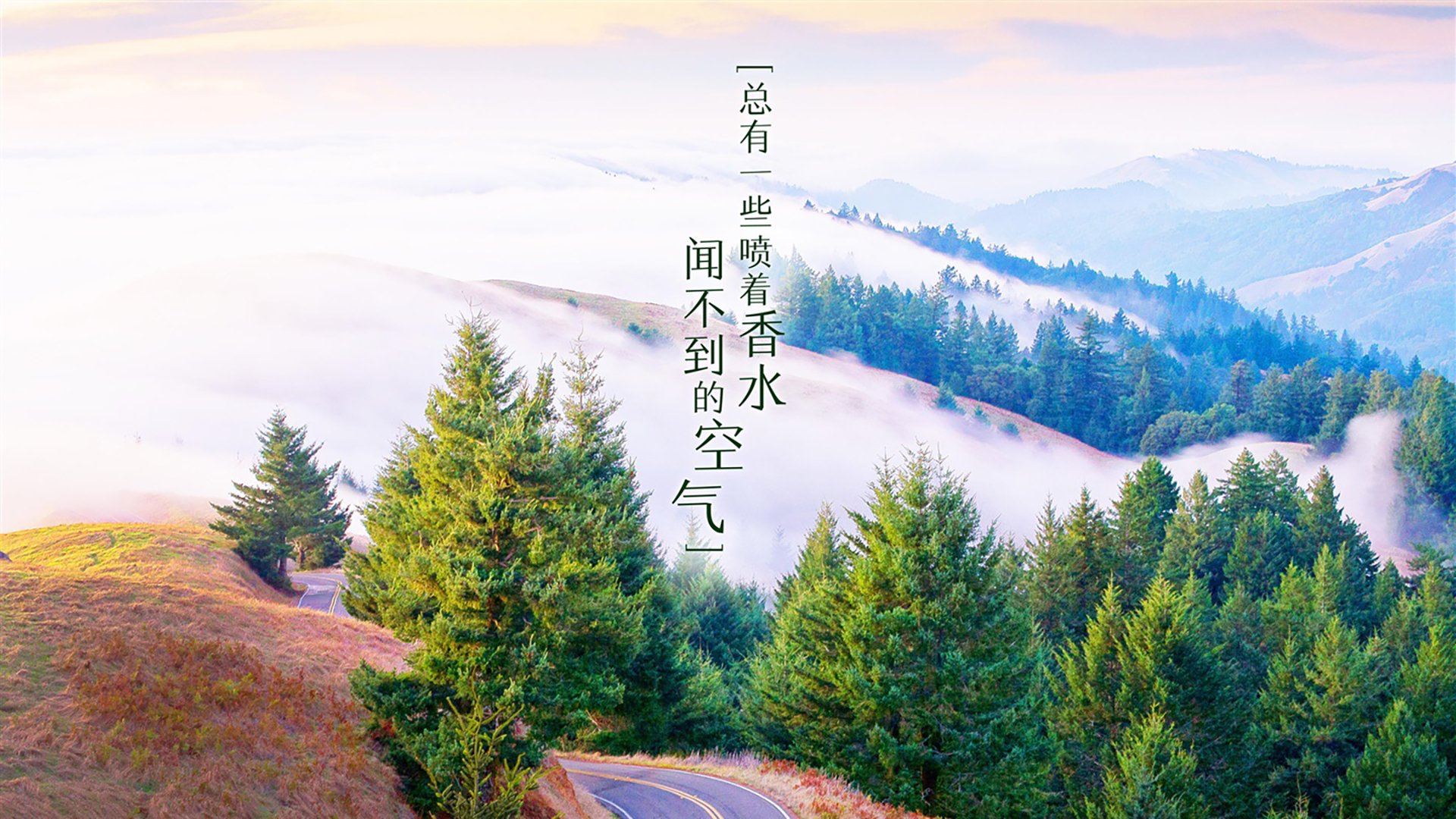 开云体育app-独一无二的D组之夜，当费利克斯的灵光与临场智慧，为荷兰与葡萄牙写下无法复制的剧本