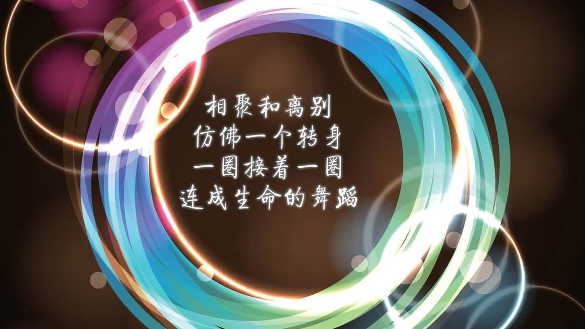 绝境中的太阳，2026世界杯C组，喀麦隆的逆转史诗与贝林厄姆的致命一击