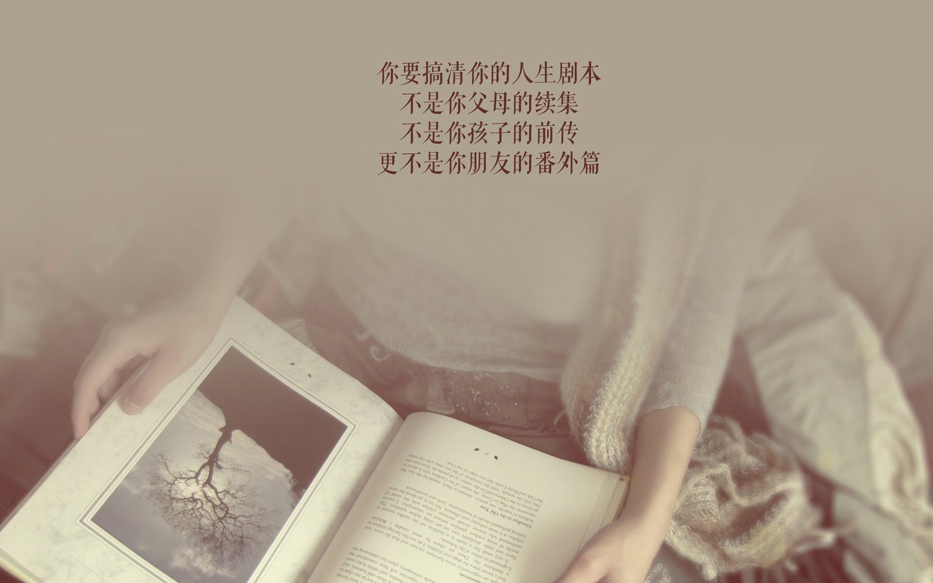 开云体育-血性破晓，2026世界杯F组生死战，泰国队的逆袭，布罗佐维奇的铁血烙印
