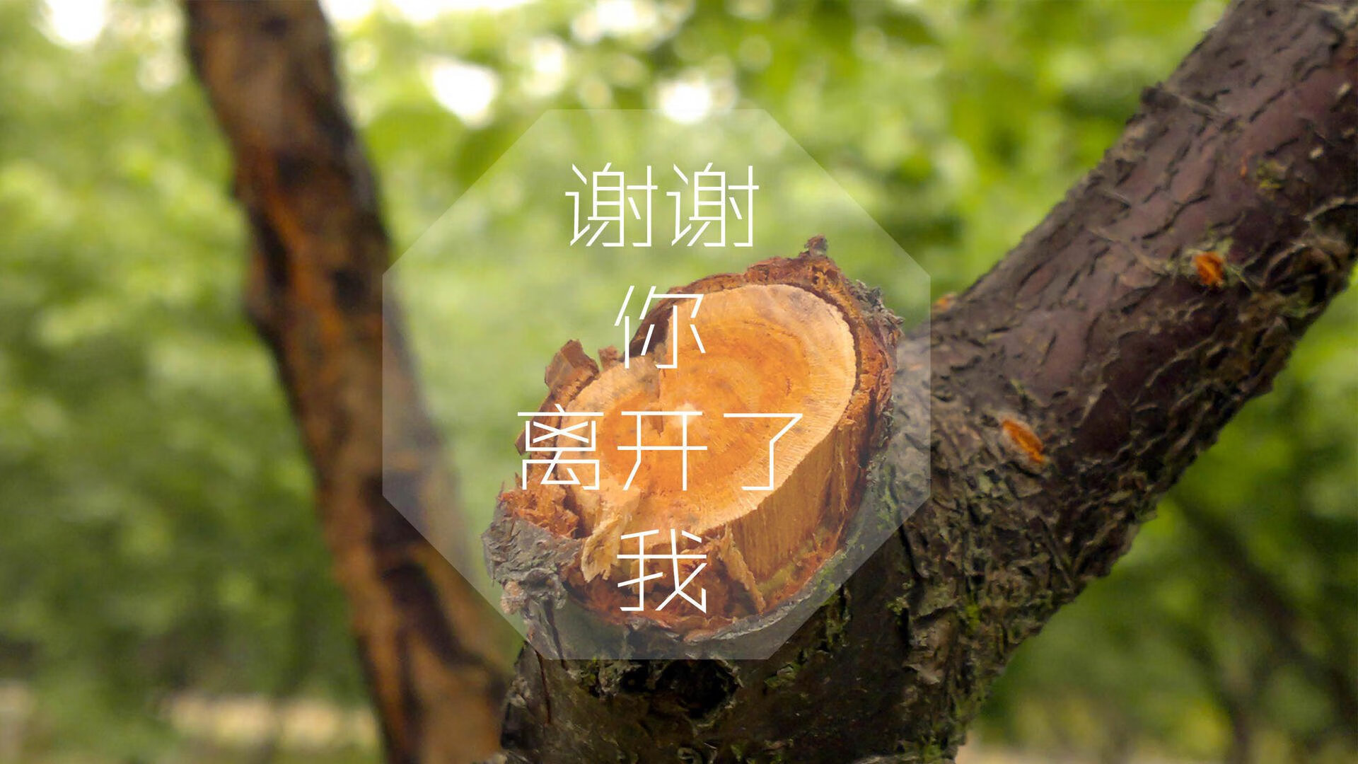 尘封的蓝，新生的橙，当福登的魔法在G组点燃奇迹，印度足球的唯一之夜