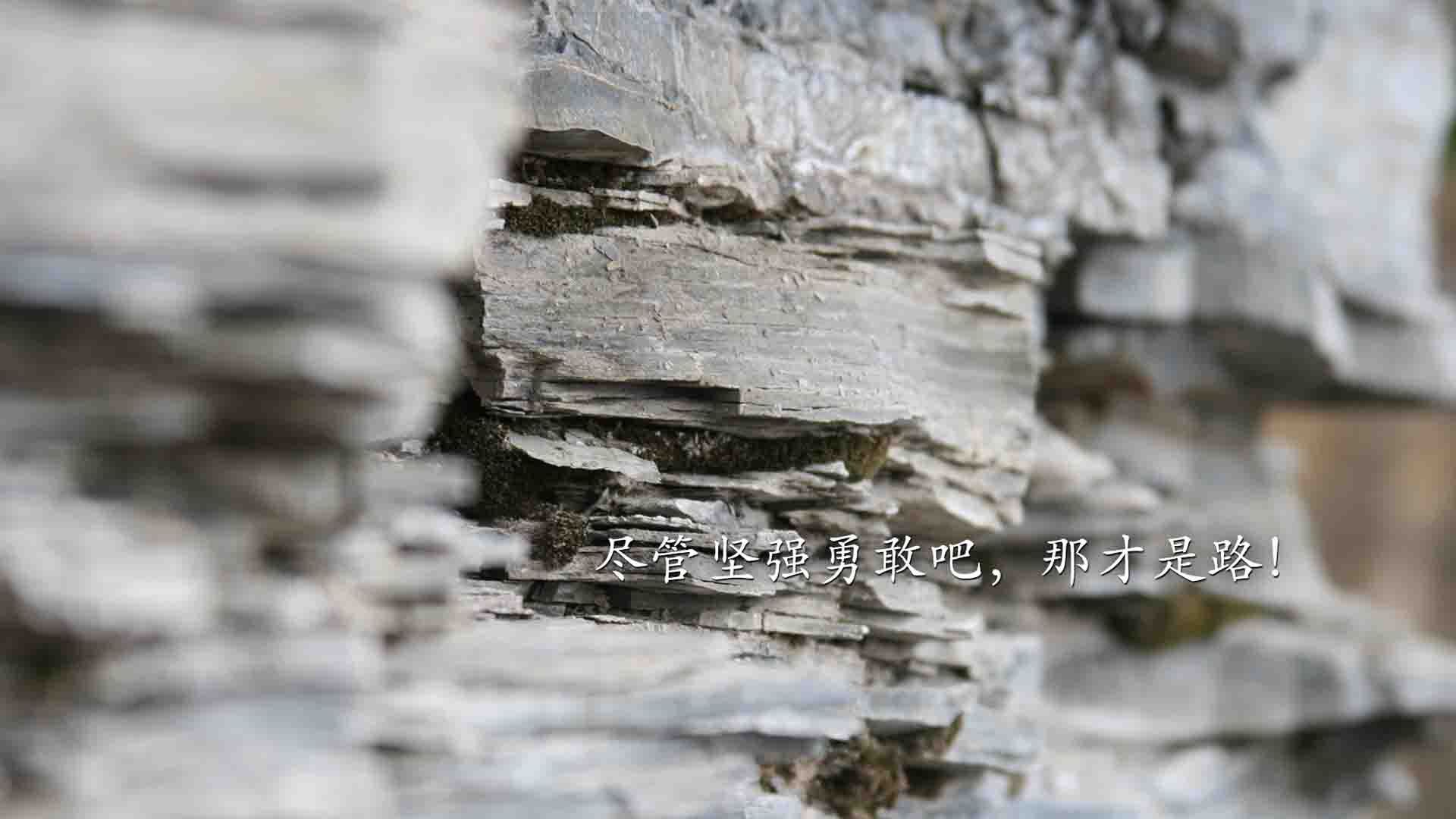 开云体育中国-构思（扩展思维）